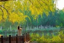大赢家足球比分足球比-揭秘大赢家足球比分，数据背后的策略与智慧
