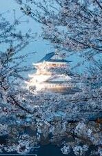 足球比分太低了-足球比分太低了，一场关于激情与期待的深度探讨
